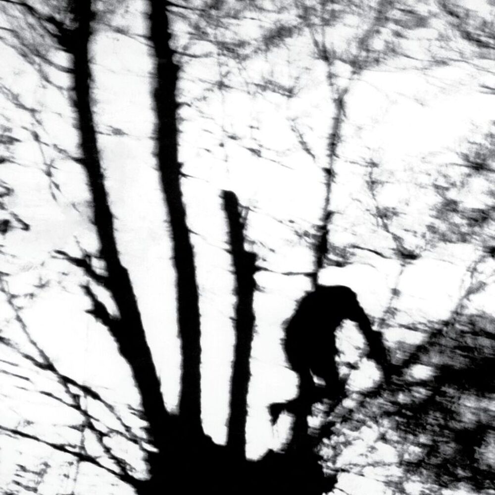 Cindytalk - Camouflage Heart  LP LP